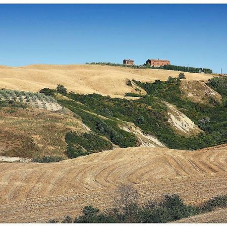 Agriturismo Podernuovo Asciano Zewnętrze zdjęcie