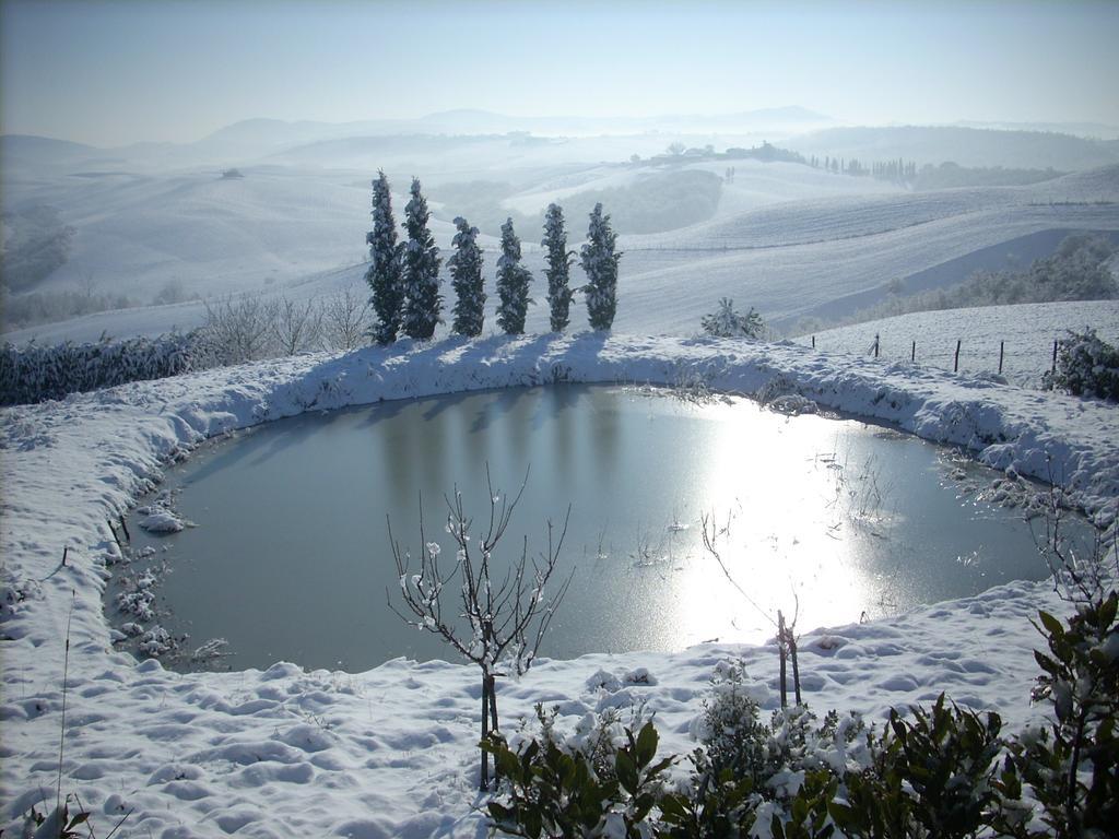Agriturismo Podernuovo Asciano Zewnętrze zdjęcie