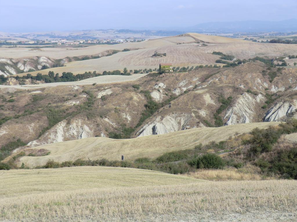 Agriturismo Podernuovo Asciano Zewnętrze zdjęcie