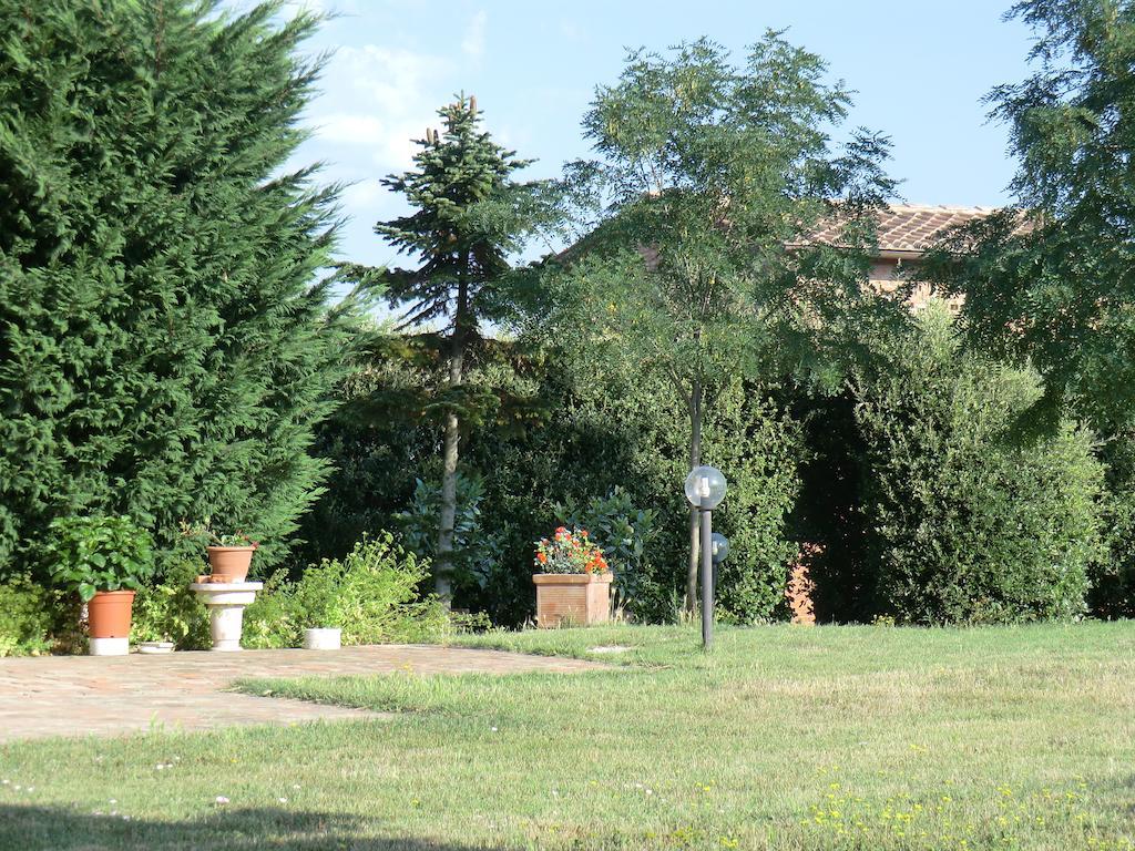 Agriturismo Podernuovo Asciano Zewnętrze zdjęcie