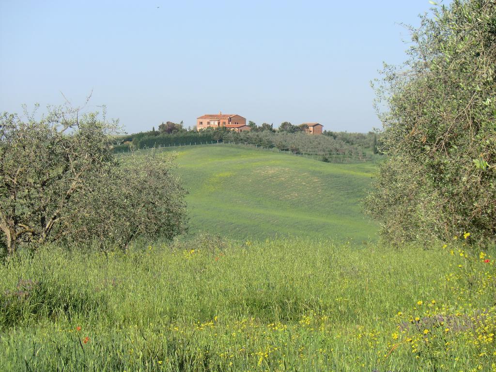 Agriturismo Podernuovo Asciano Zewnętrze zdjęcie