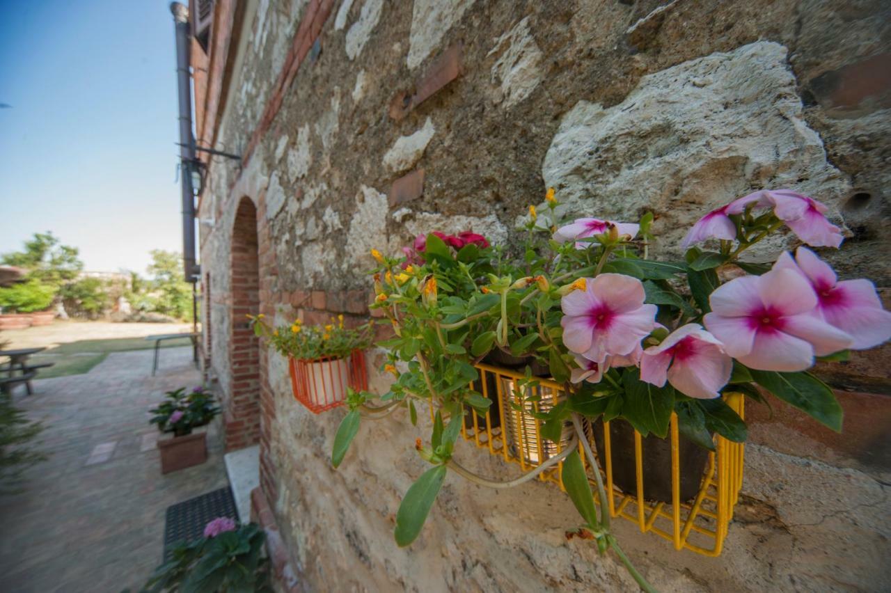 Agriturismo Podernuovo Asciano Zewnętrze zdjęcie
