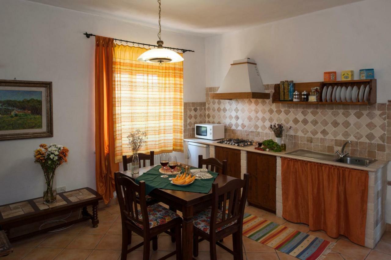 Agriturismo Podernuovo Asciano Zewnętrze zdjęcie