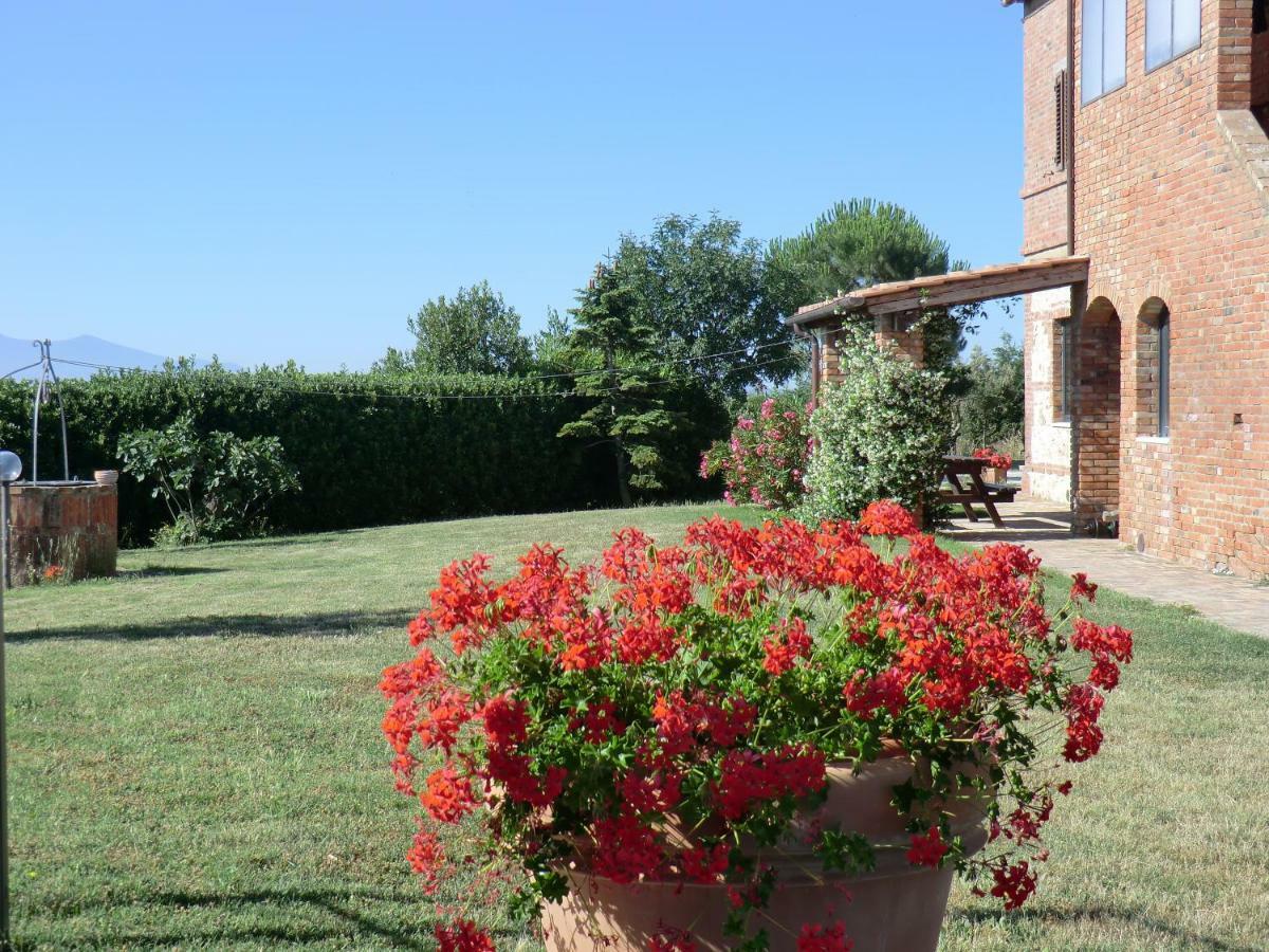 Agriturismo Podernuovo Asciano Zewnętrze zdjęcie