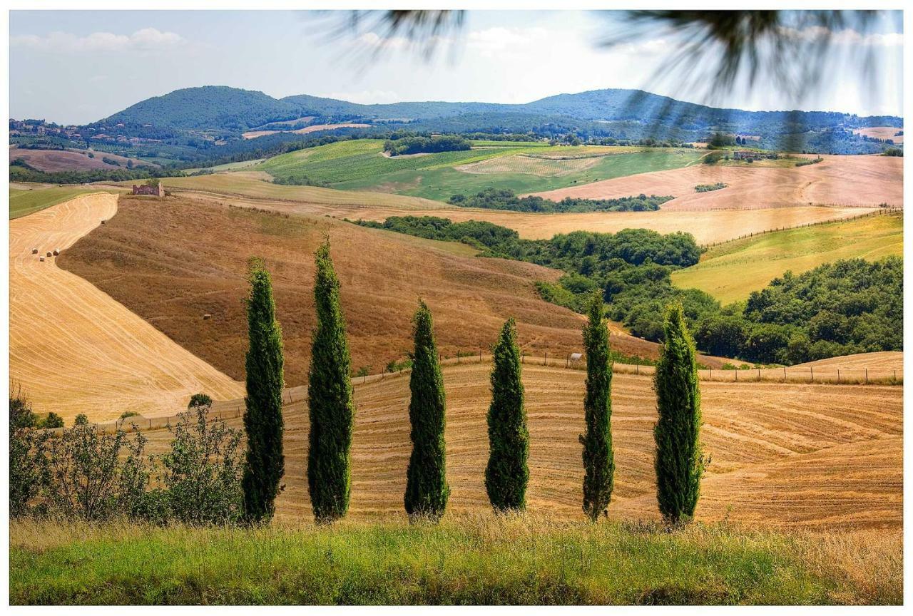 Agriturismo Podernuovo Asciano Zewnętrze zdjęcie