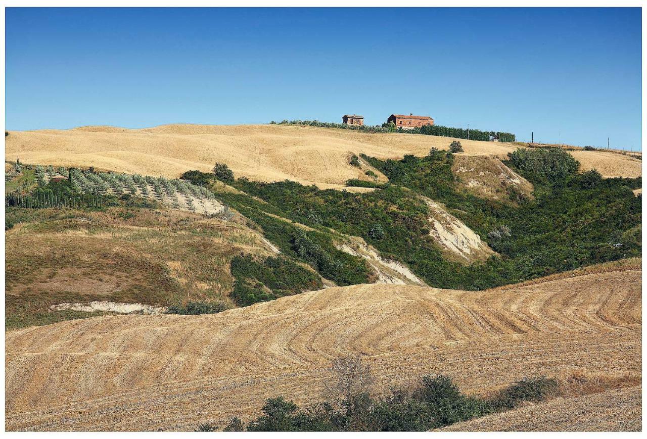 Agriturismo Podernuovo Asciano Zewnętrze zdjęcie