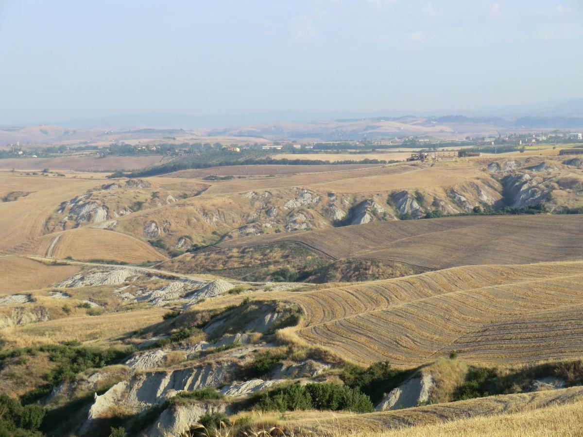 Agriturismo Podernuovo Asciano Zewnętrze zdjęcie